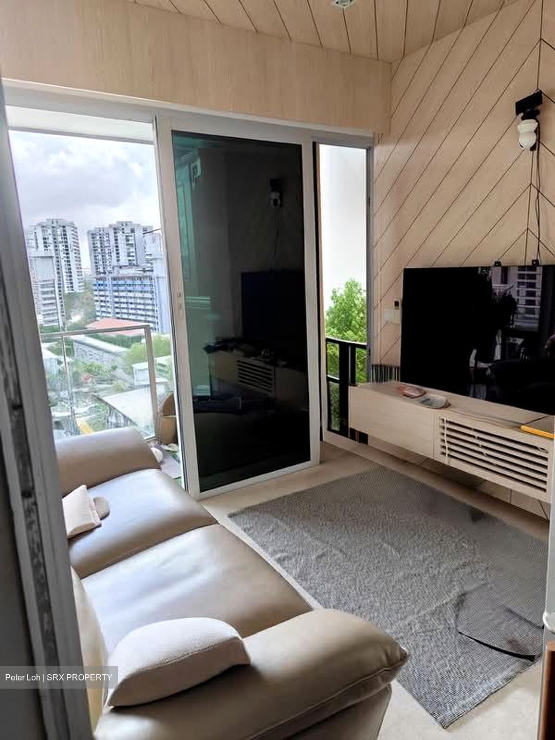 Eight Riversuites (D12), Condominium #536855021